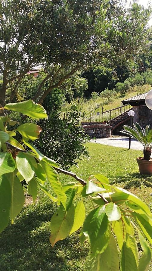 B&B Girasole Torraca Zewnętrze zdjęcie