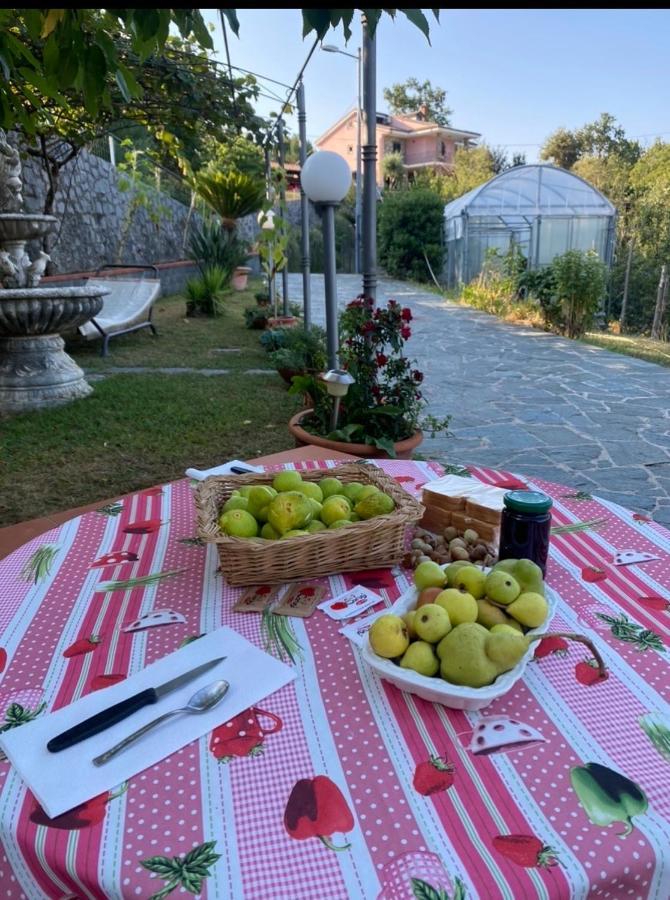 B&B Girasole Torraca Zewnętrze zdjęcie