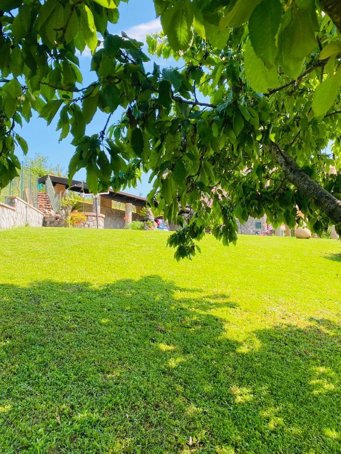 B&B Girasole Torraca Zewnętrze zdjęcie