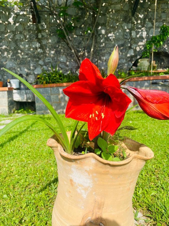 B&B Girasole Torraca Zewnętrze zdjęcie