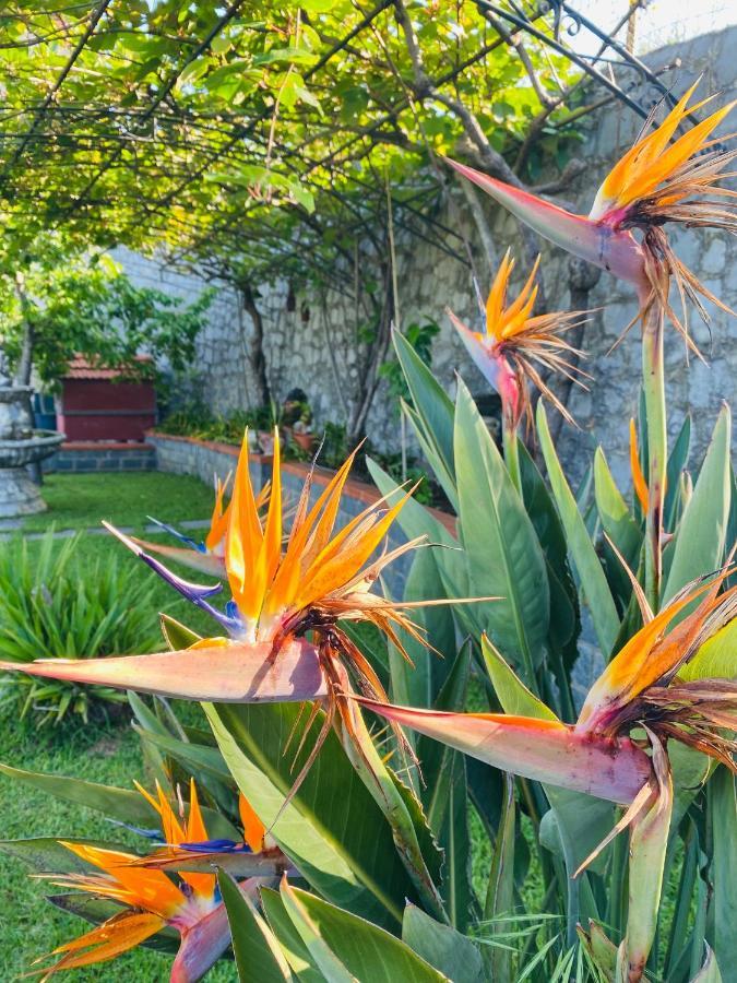 B&B Girasole Torraca Zewnętrze zdjęcie